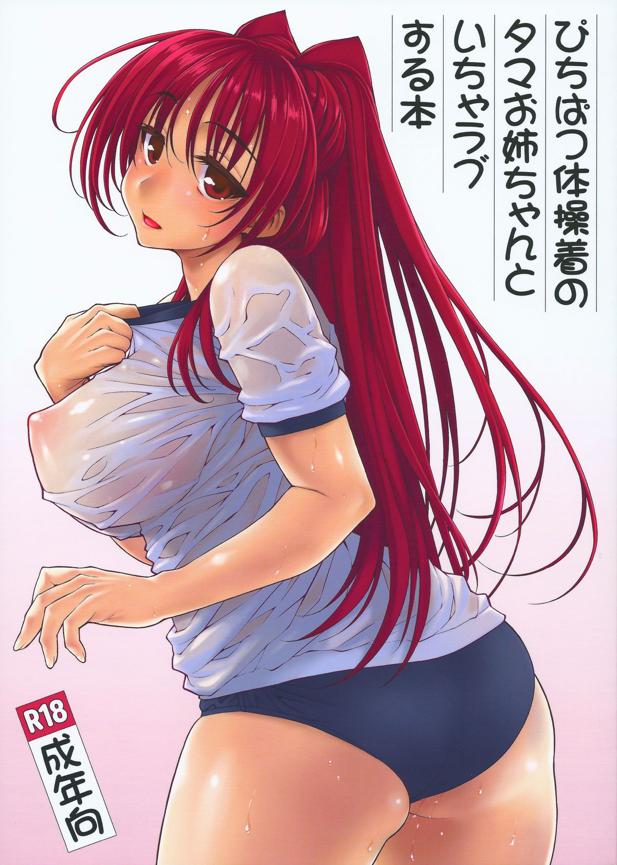 Pichipatsu Taisougi no Tama Oneechan to Icha Love Suru Hon page 1 full