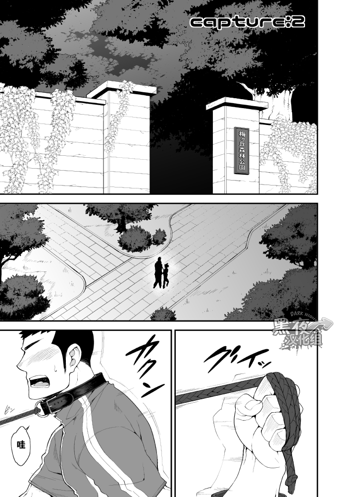 capture:2 page 3 full