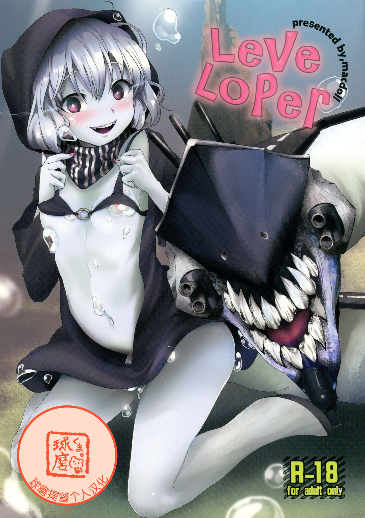 LeVeLoPer page 2 full