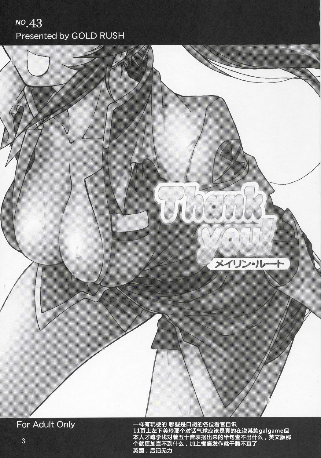 Thank you! Meyrin Route page 2 full