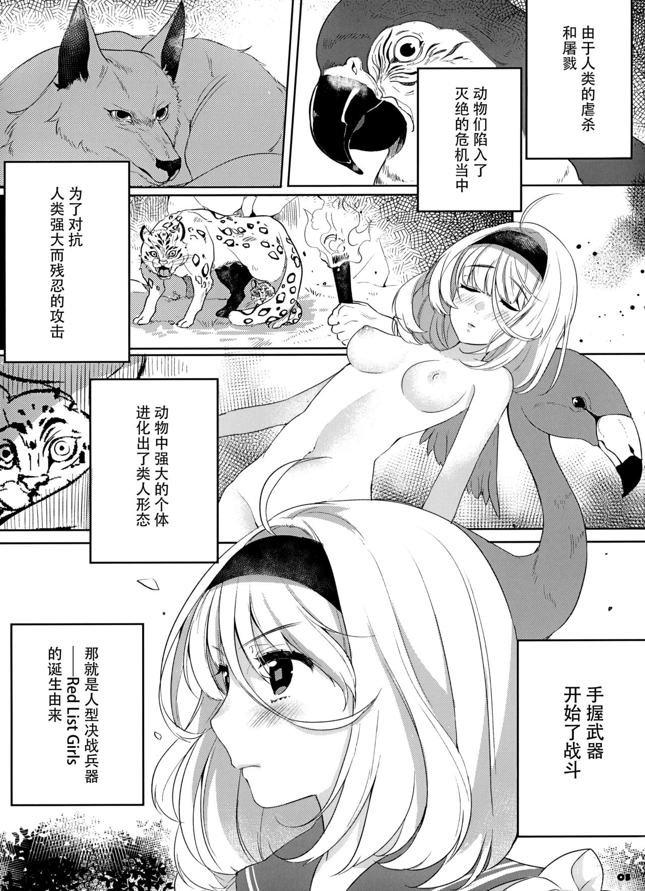 FLAMINGO; RABBIT STRAWBERRY page 6 full