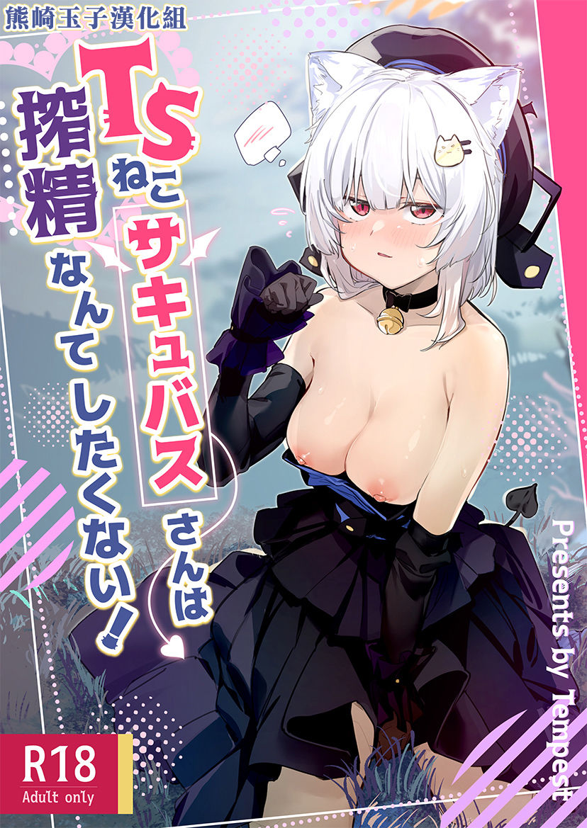 TS Neko Succubus-san wa Sakusei Nante Shitakunai! page 1 full