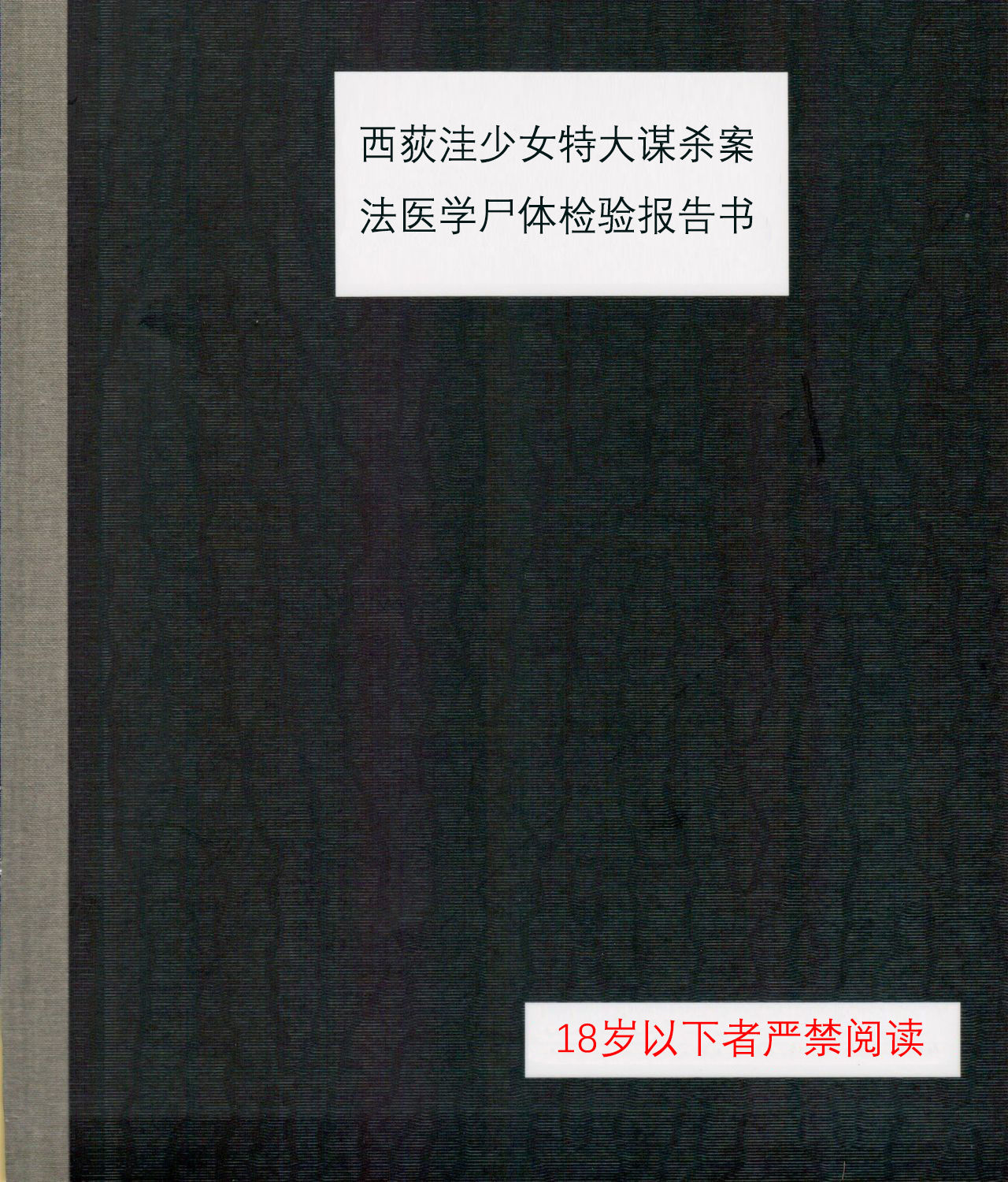 Nishiogikubo Shoujo Satsugai Jiken Shihou Kaibou Kiroku| 西荻洼少女特大谋杀案法医学尸体检验报告书 page 1 full