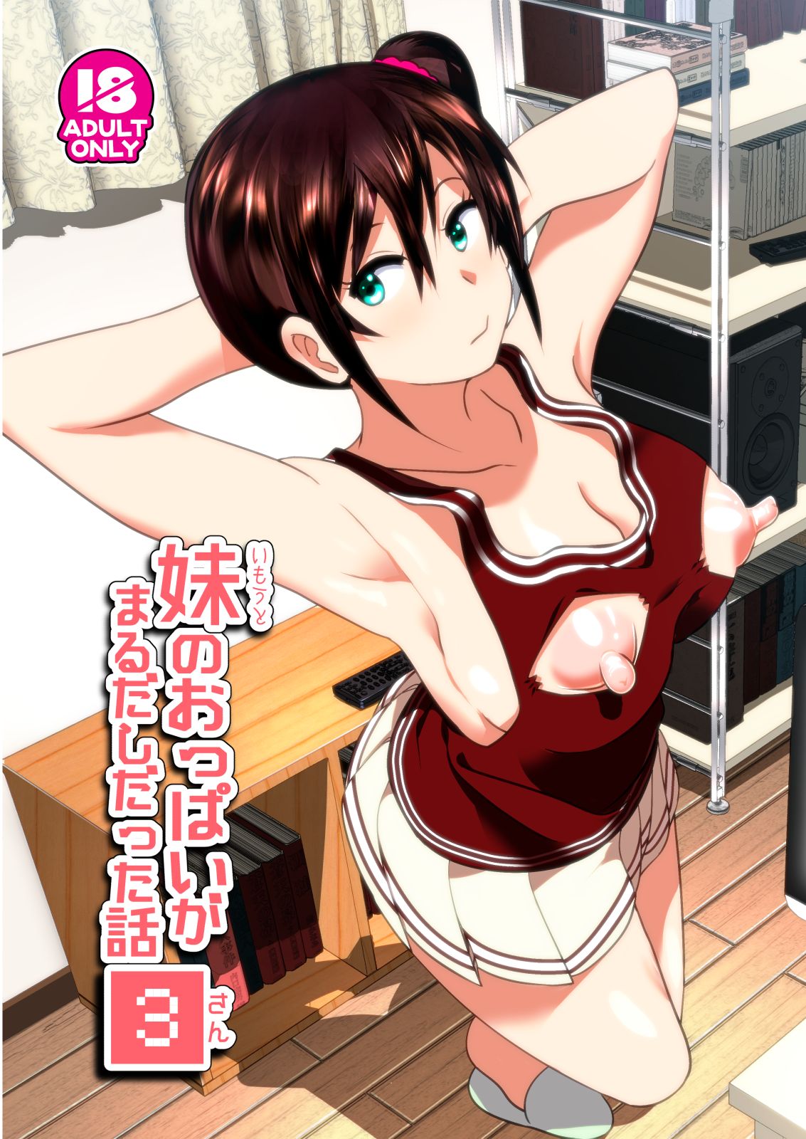 Imouto no Oppai ga Marudashi Datta Hanashi 3 page 1 full