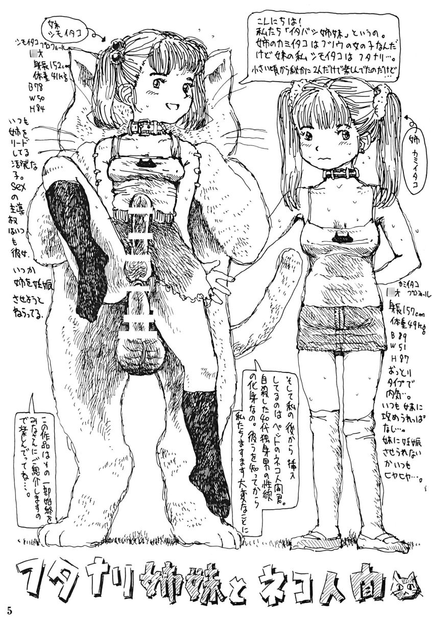Futanari Shimai to Neko Ningen page 5 full