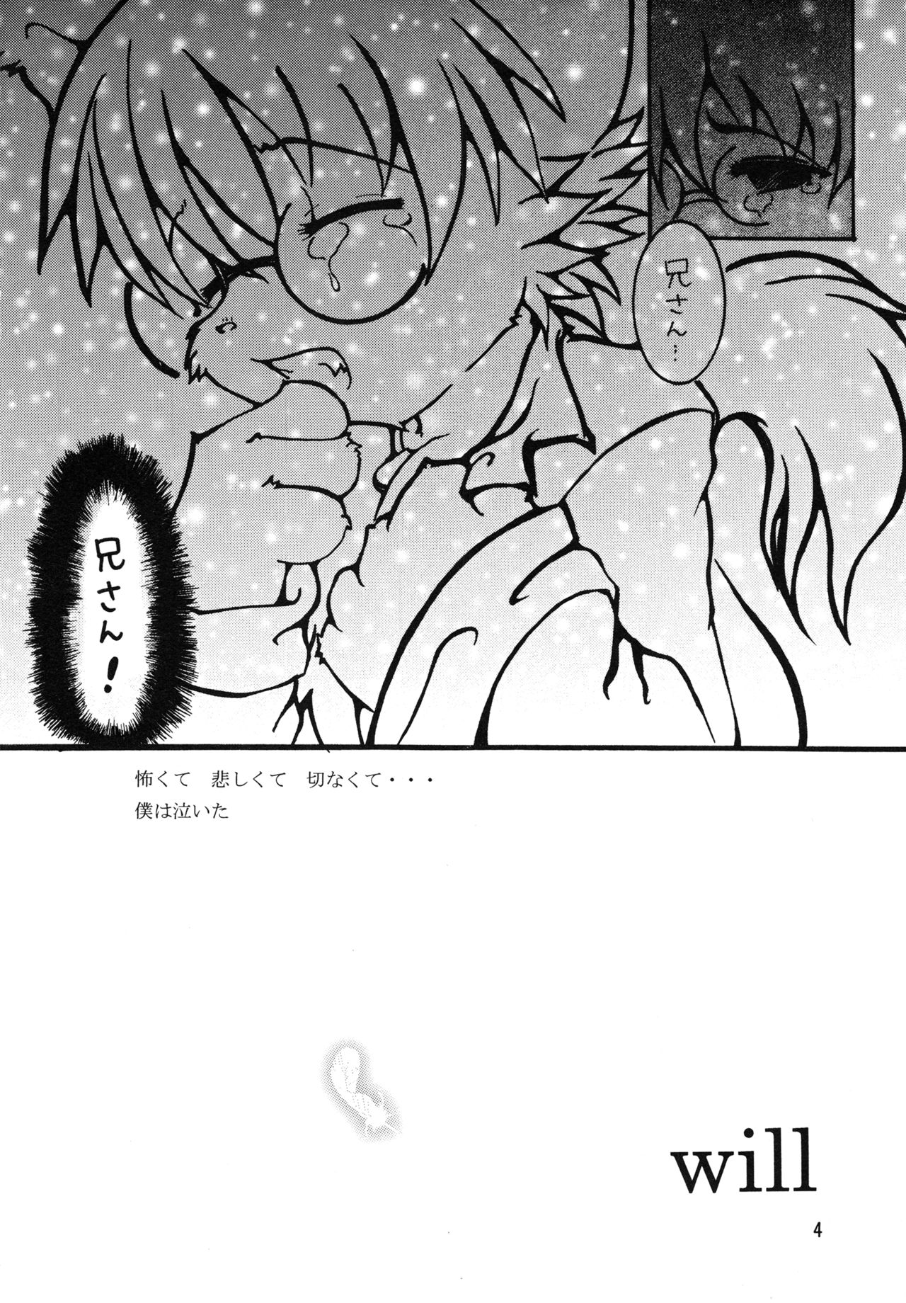 Will page 3 full