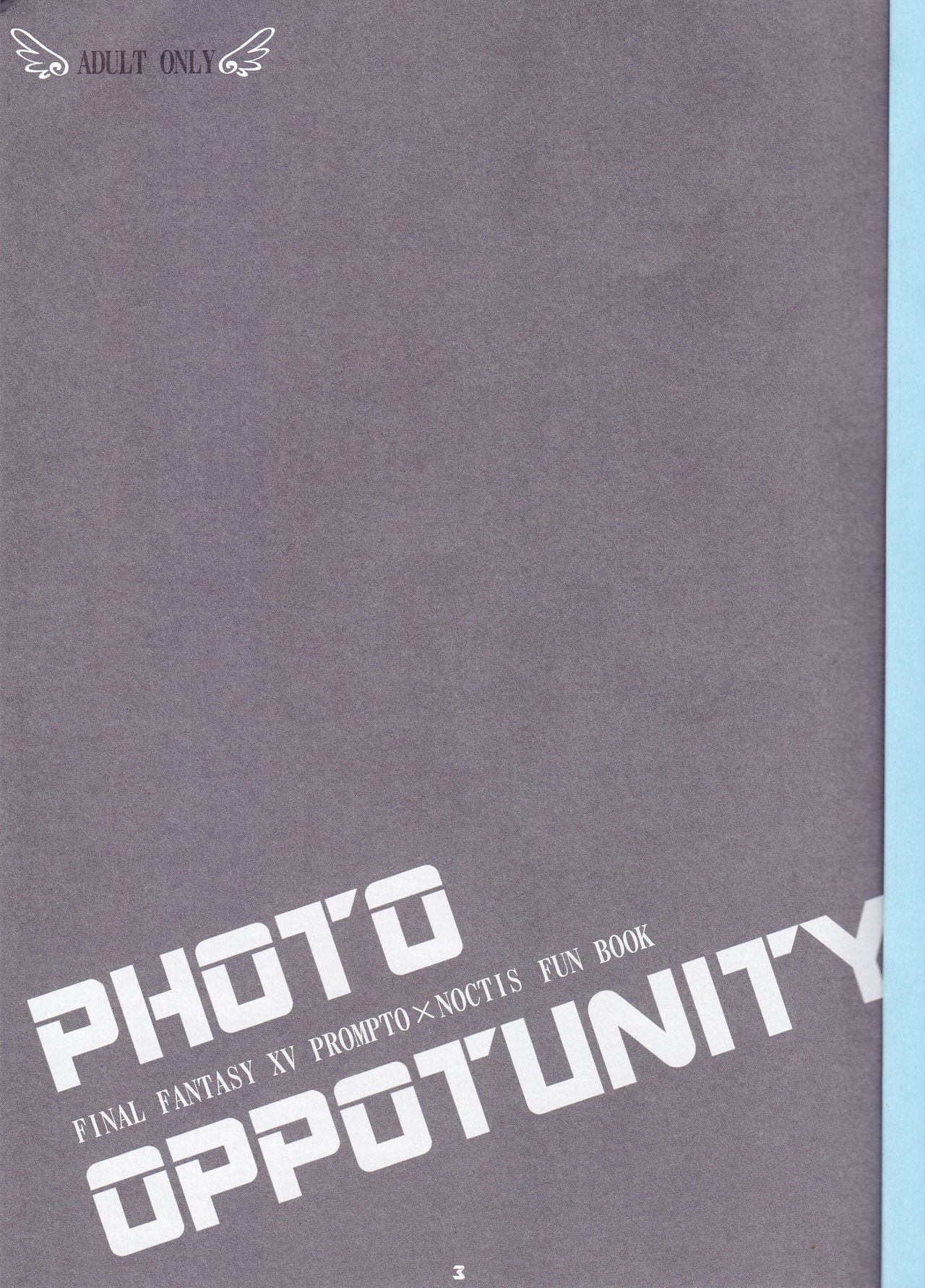 PHOTO OPPOTUNITY page 2 full