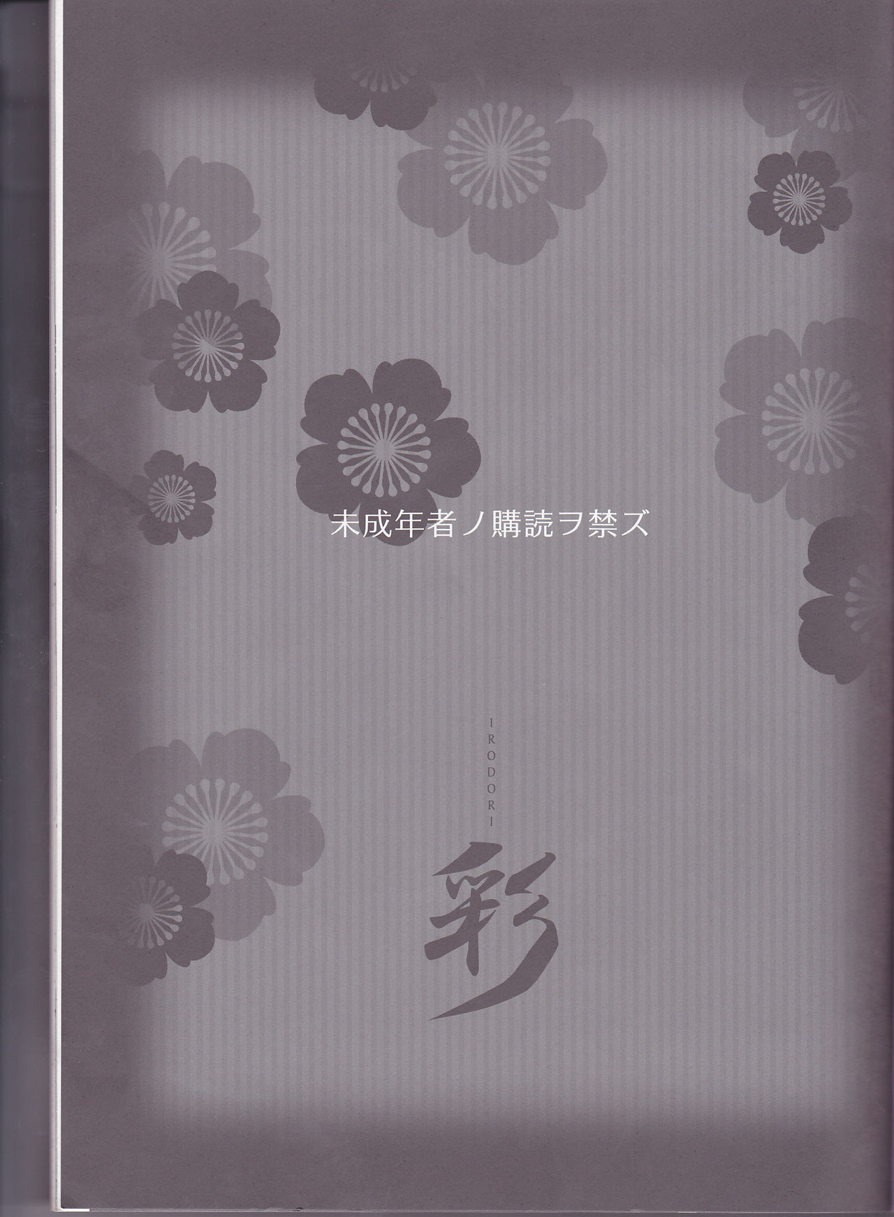 Irodori page 3 full