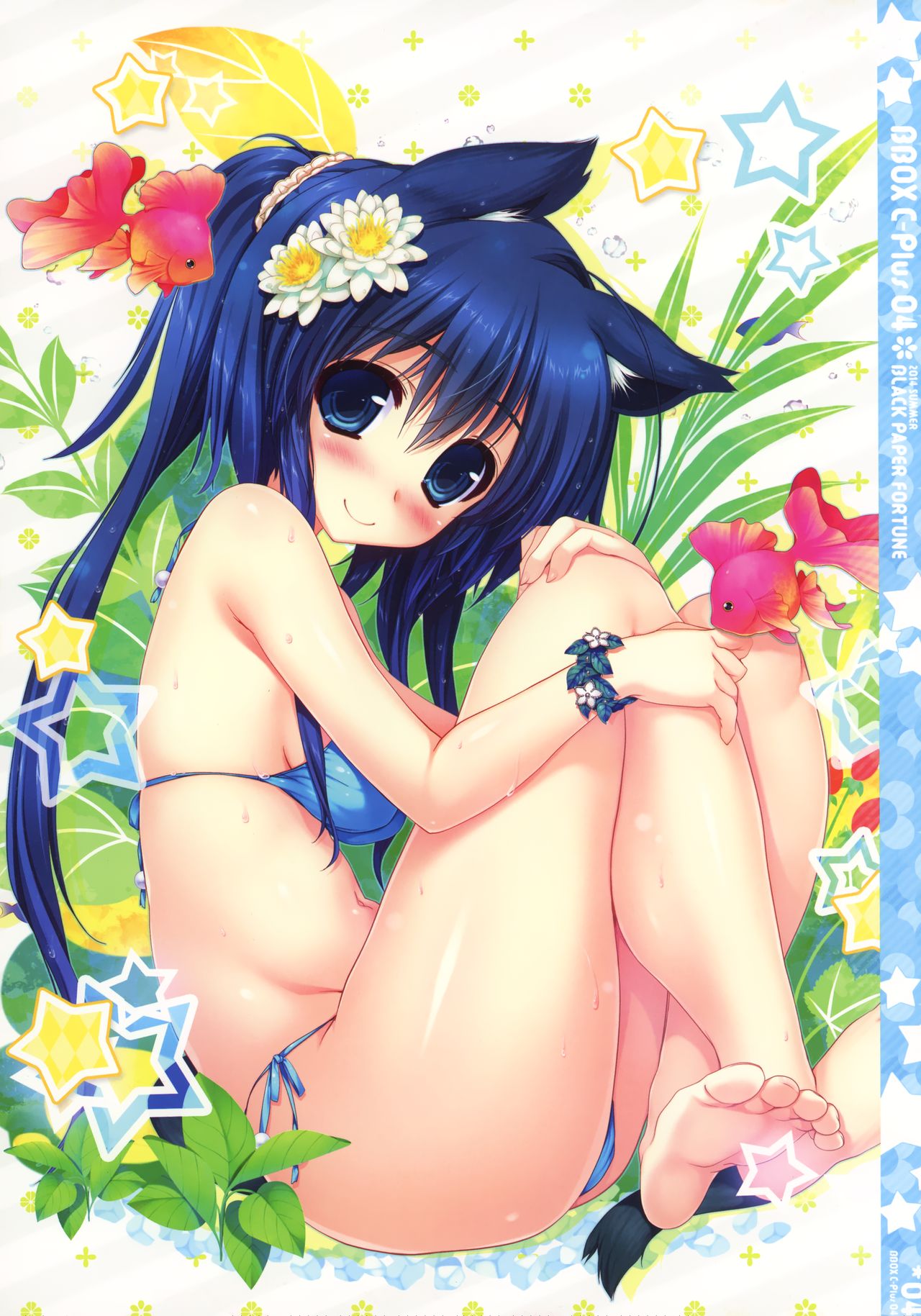 BBox.C-Plus 04 page 3 full
