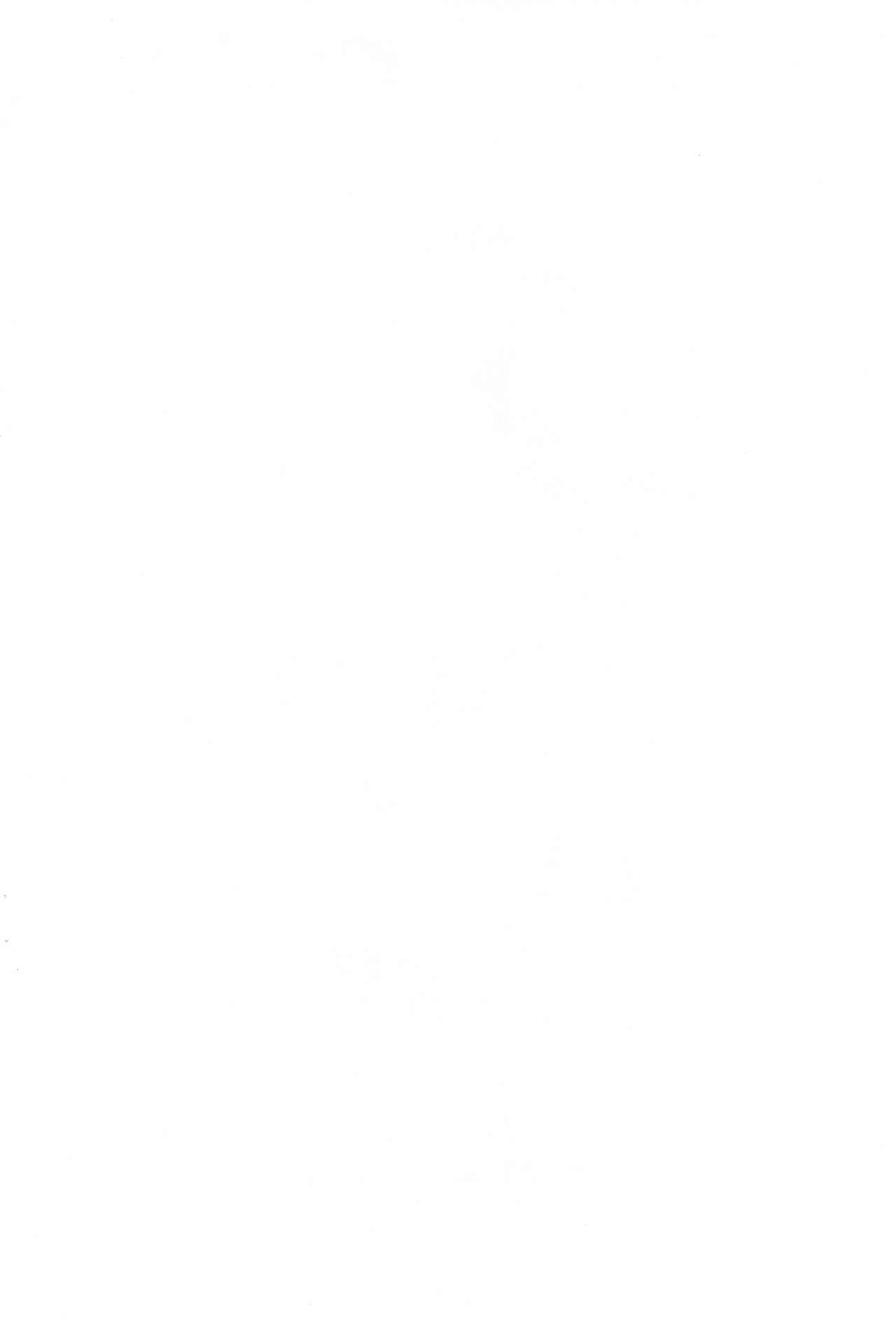 Magejun Nagoya Shucchou-ban page 2 full