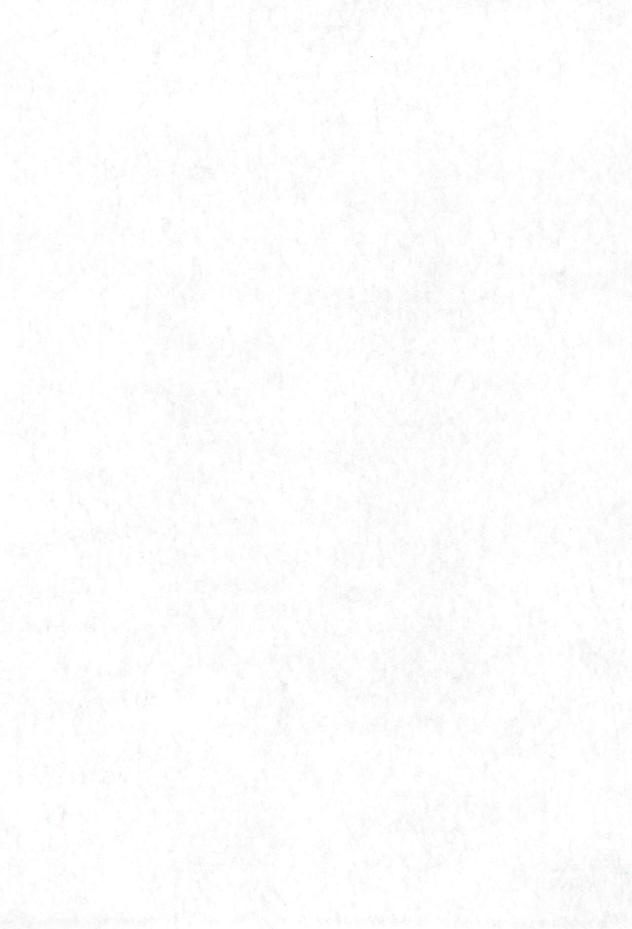 P.P. Plan 5 page 3 full