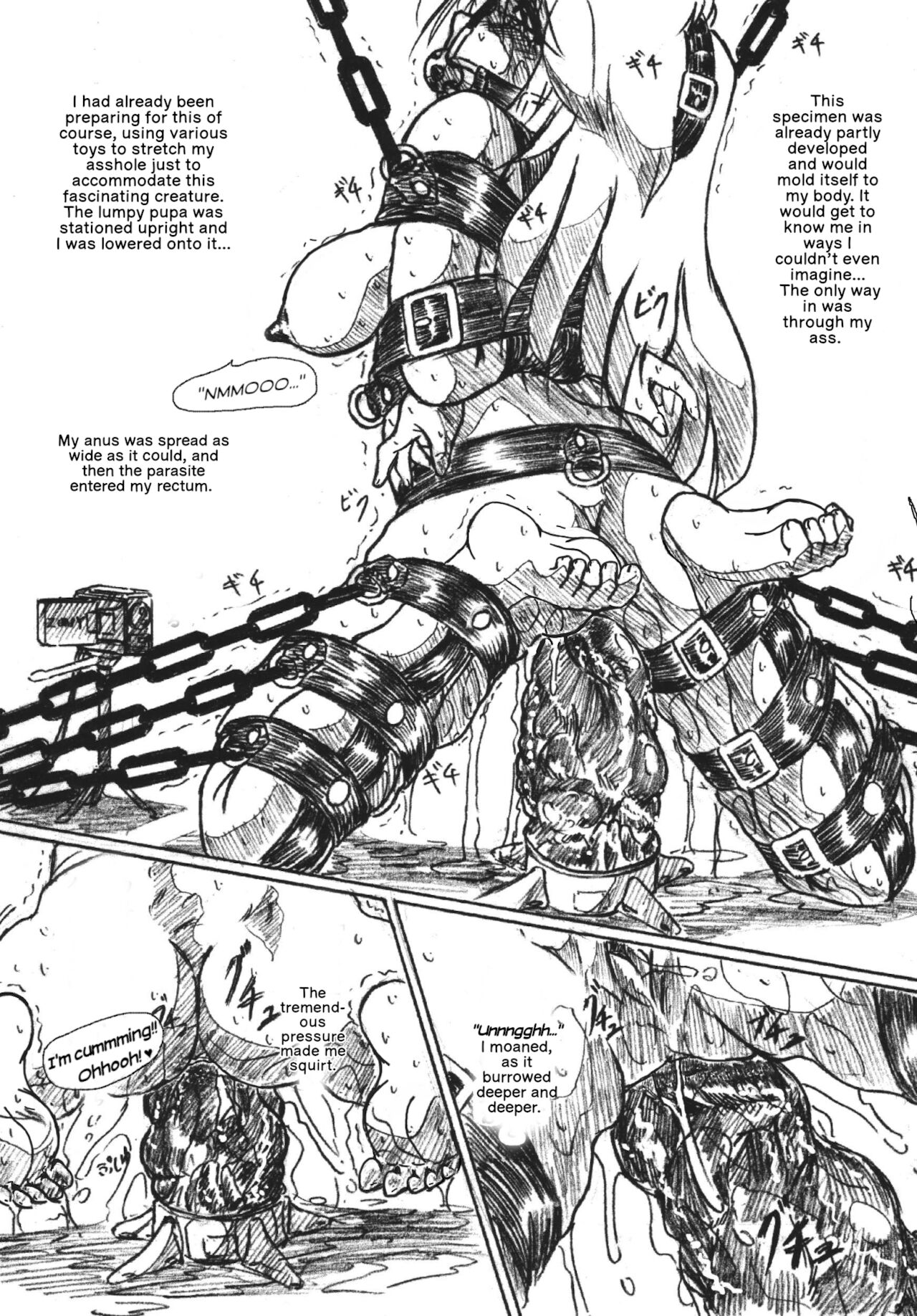 The Volunteer Parasite Nursery page 3 full