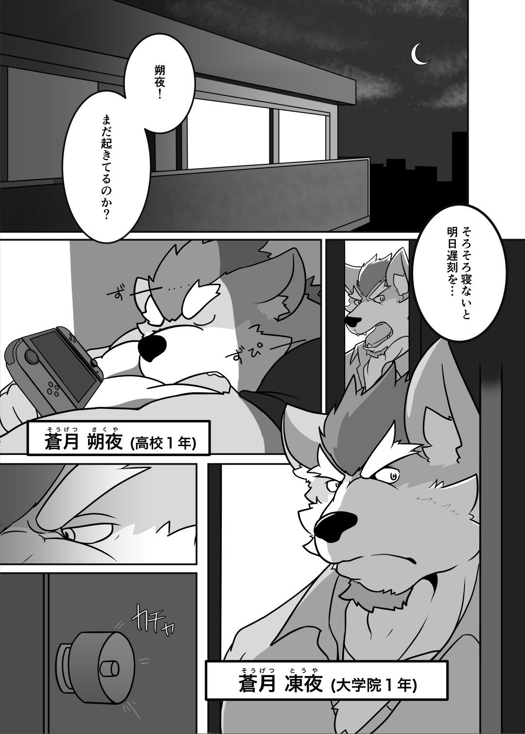 ProWres Ring Kiba PRIVATE MATCH page 3 full