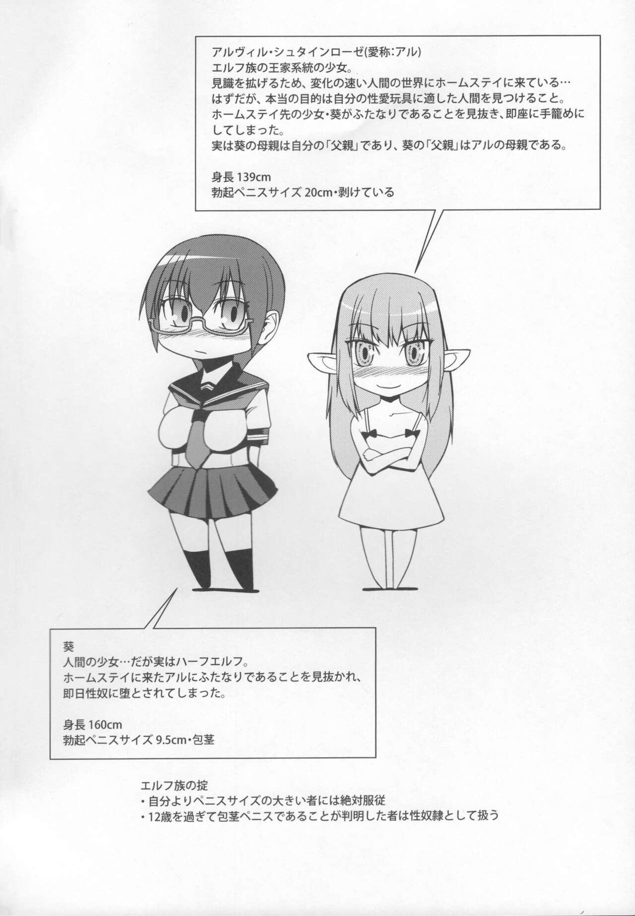 Elf no Kuni e no Ryuugakuki page 3 full