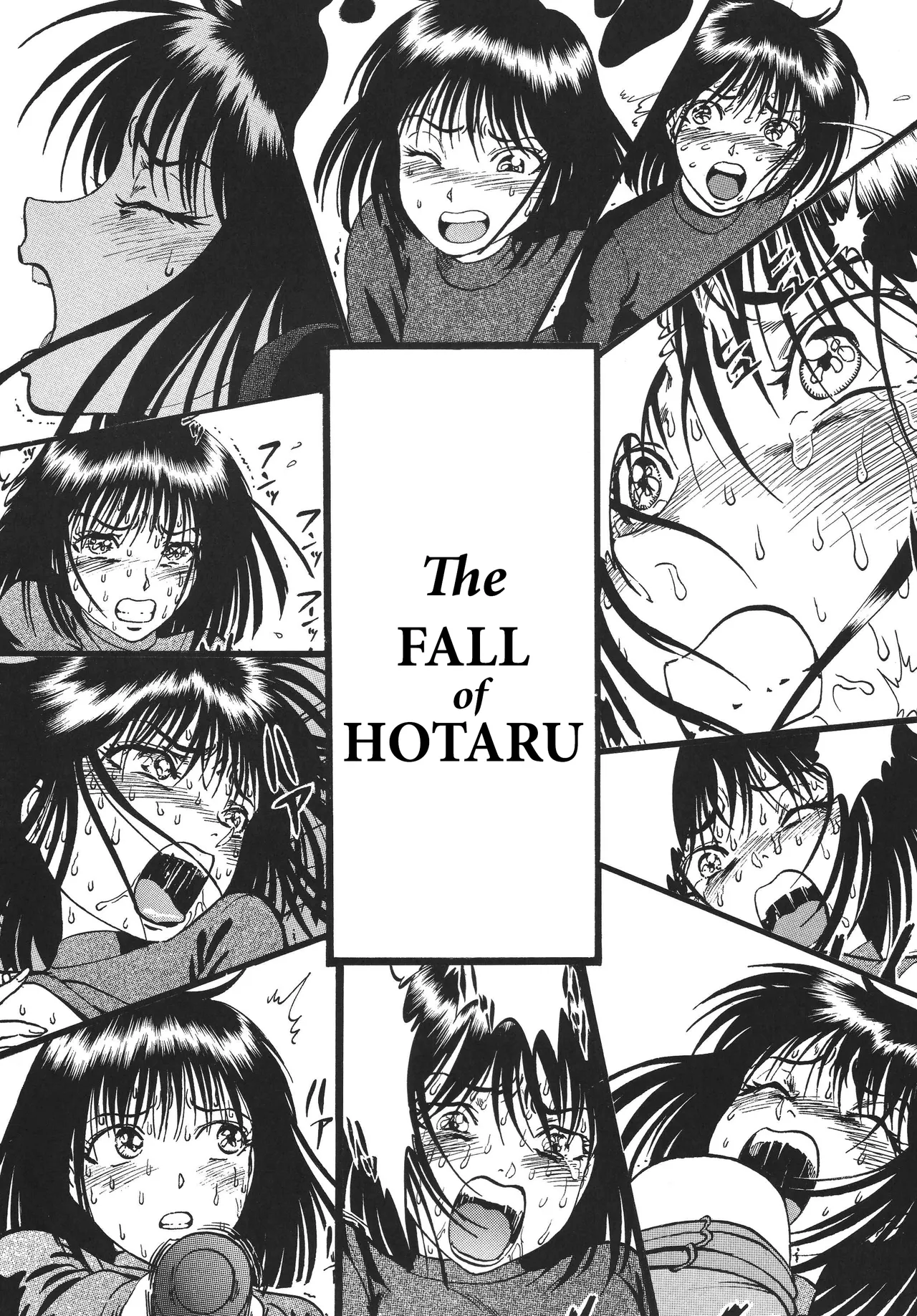 The Fall Of Hotaru page 3 full