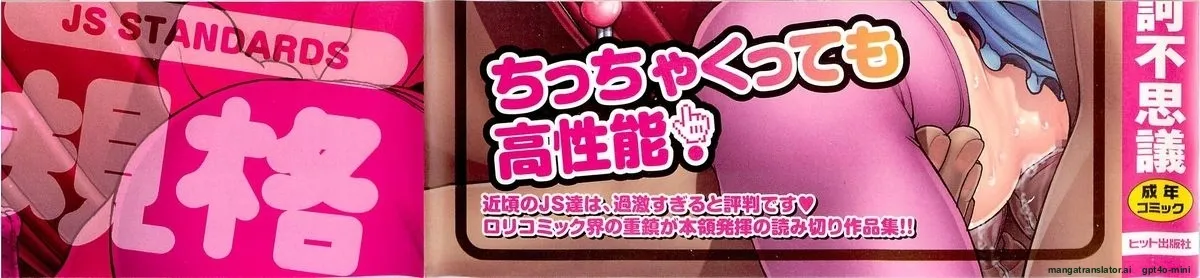 JS Kikaku - JS Standards page 3 full