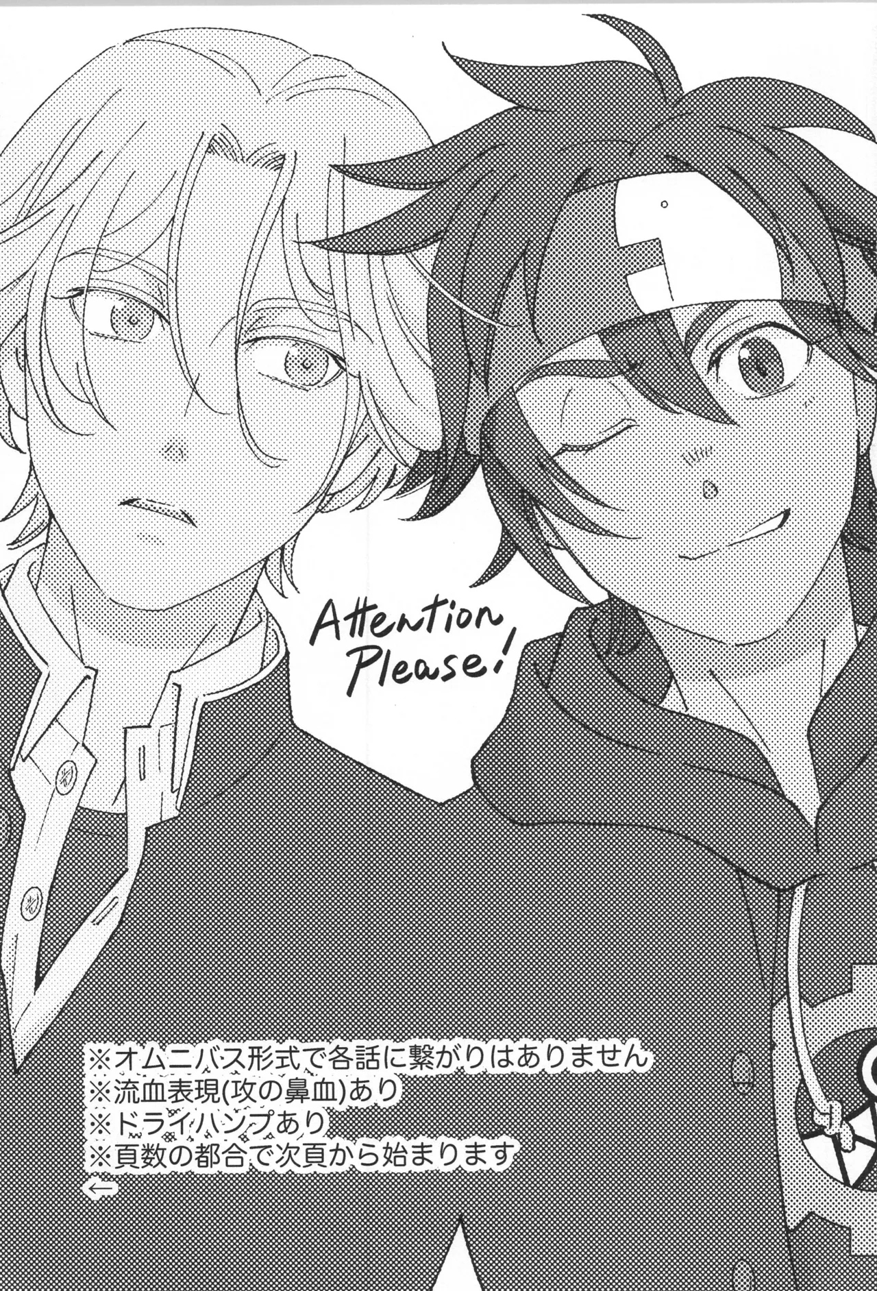 Lenreki Amakara Assortment page 2 full