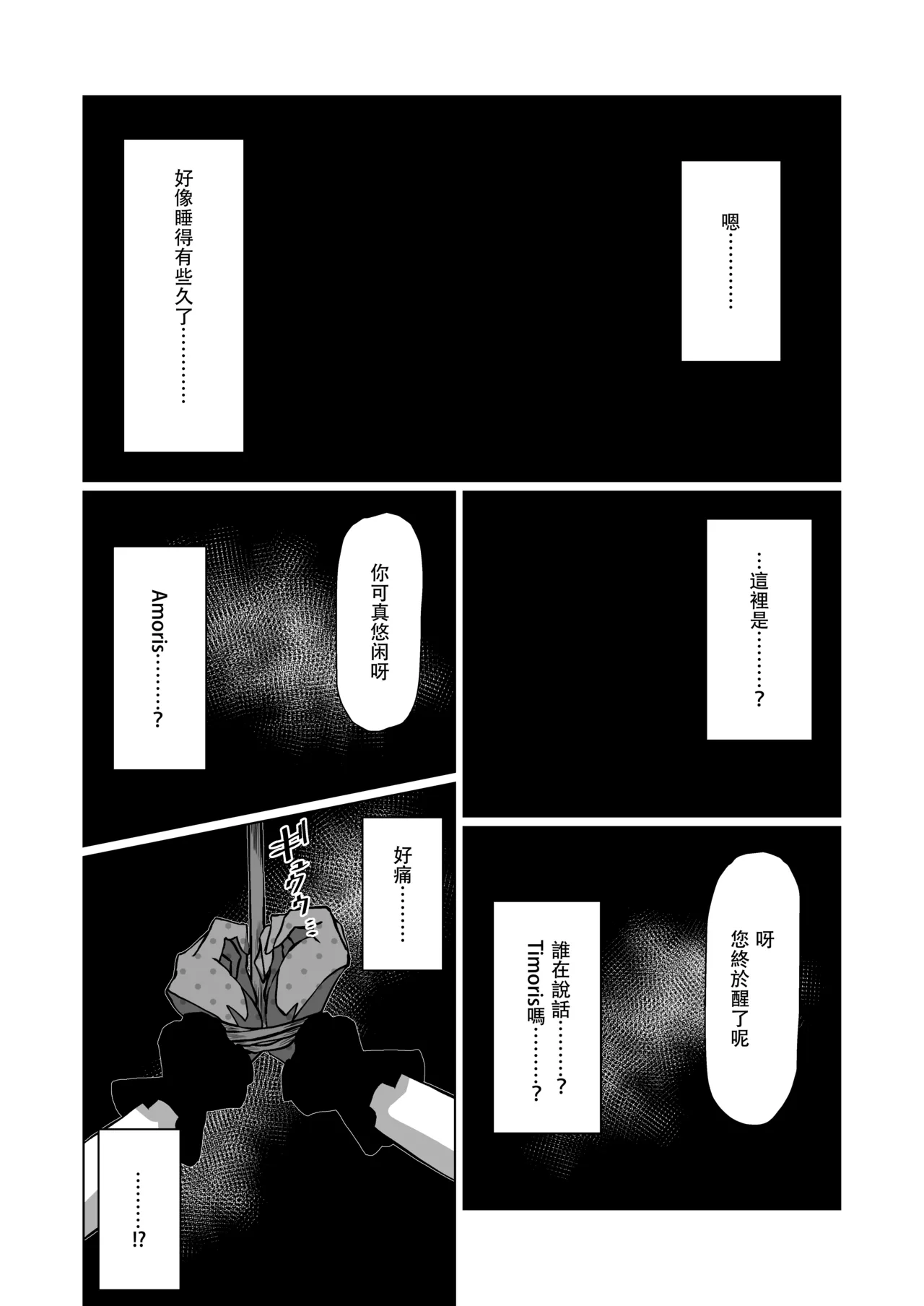 HAme Mujica page 2 full