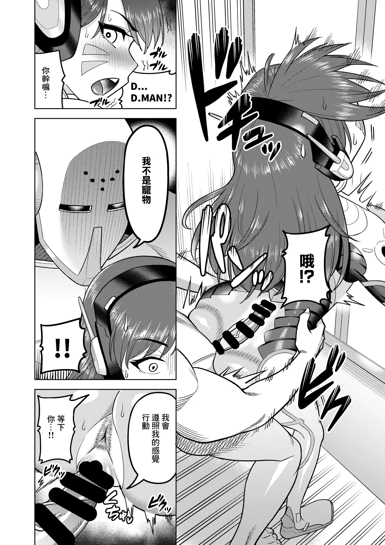 DVA Book THE PET page 10 full