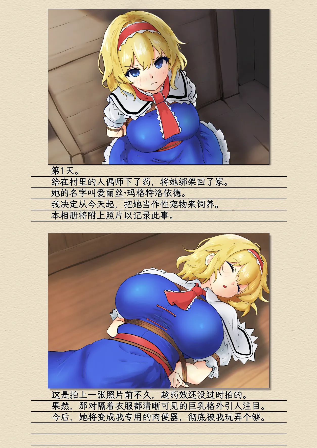 Alice Margatroid Kankin Album | 爱丽丝・玛格特洛依德监禁专辑 page 4 full