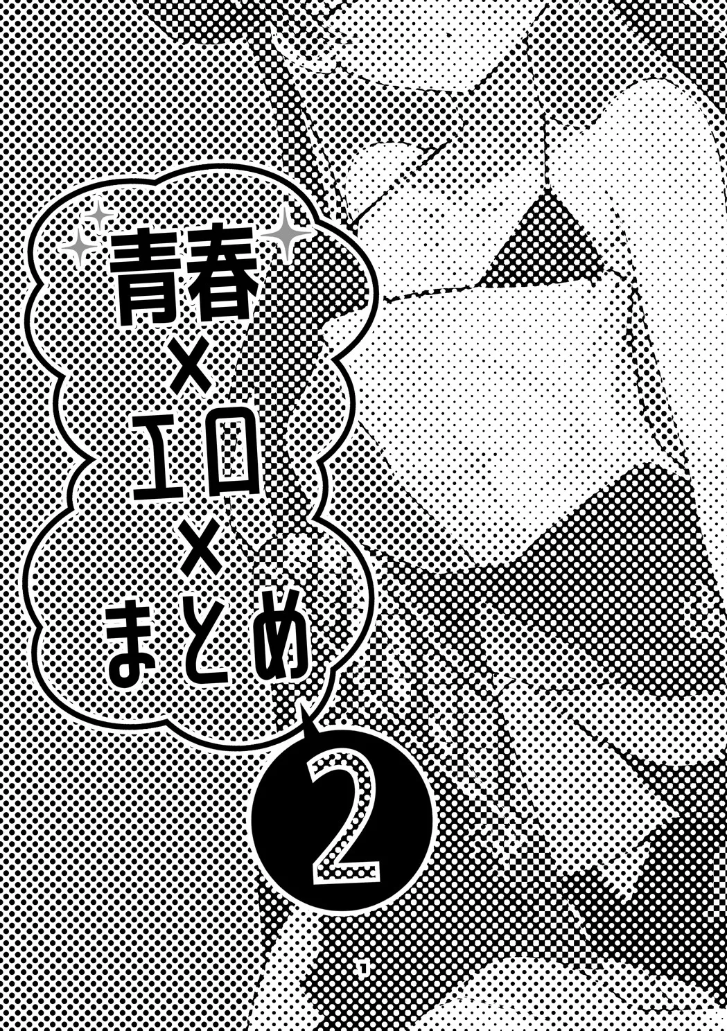 Seishun x Ero x Matome Hon 2 page 2 full