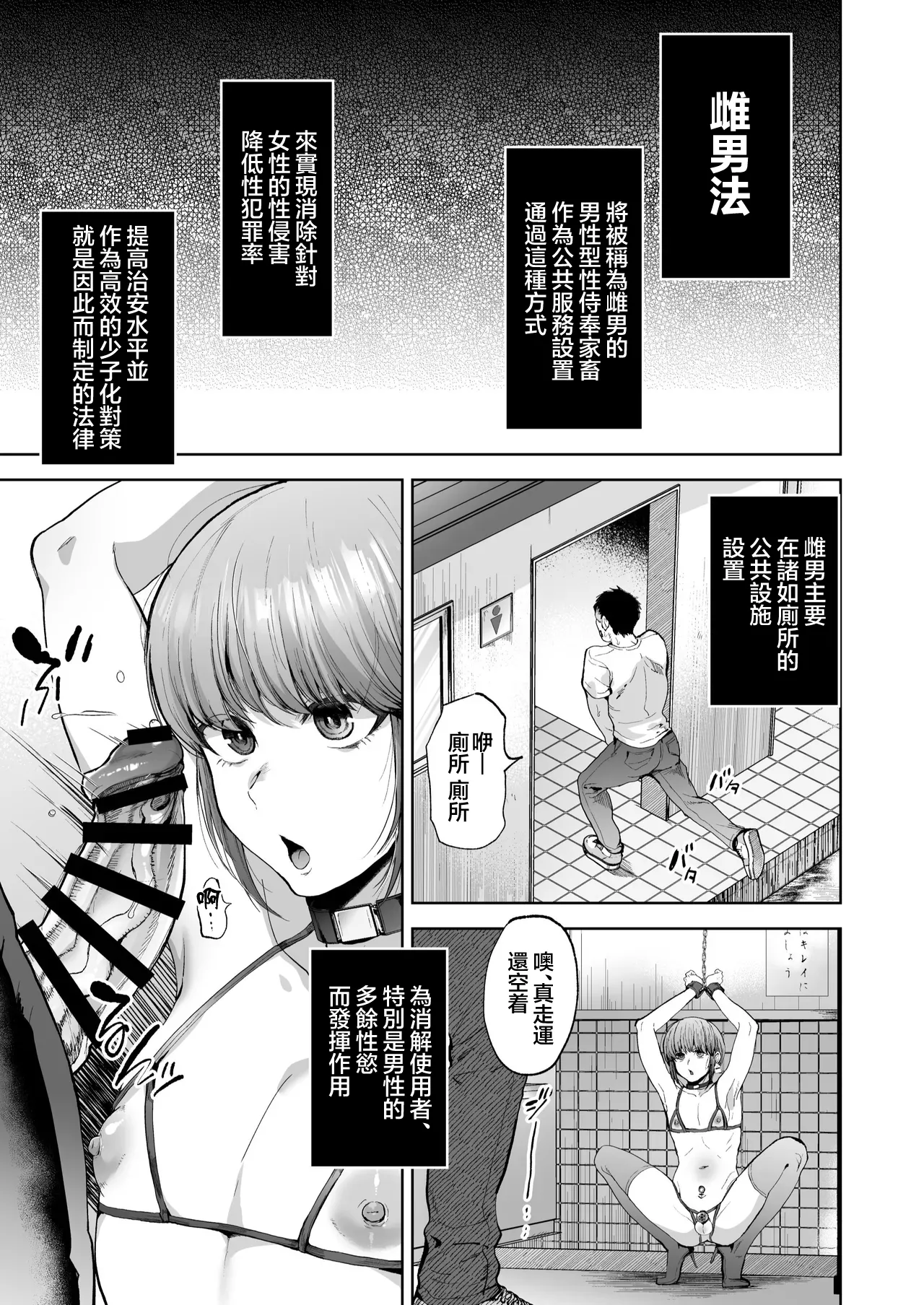 Shidanhou Shakai ni Ikiru Dansei-gata Seihoushi Kachiku | 雌男法 让社会活跃的男性型性侍奉家畜 page 8 full