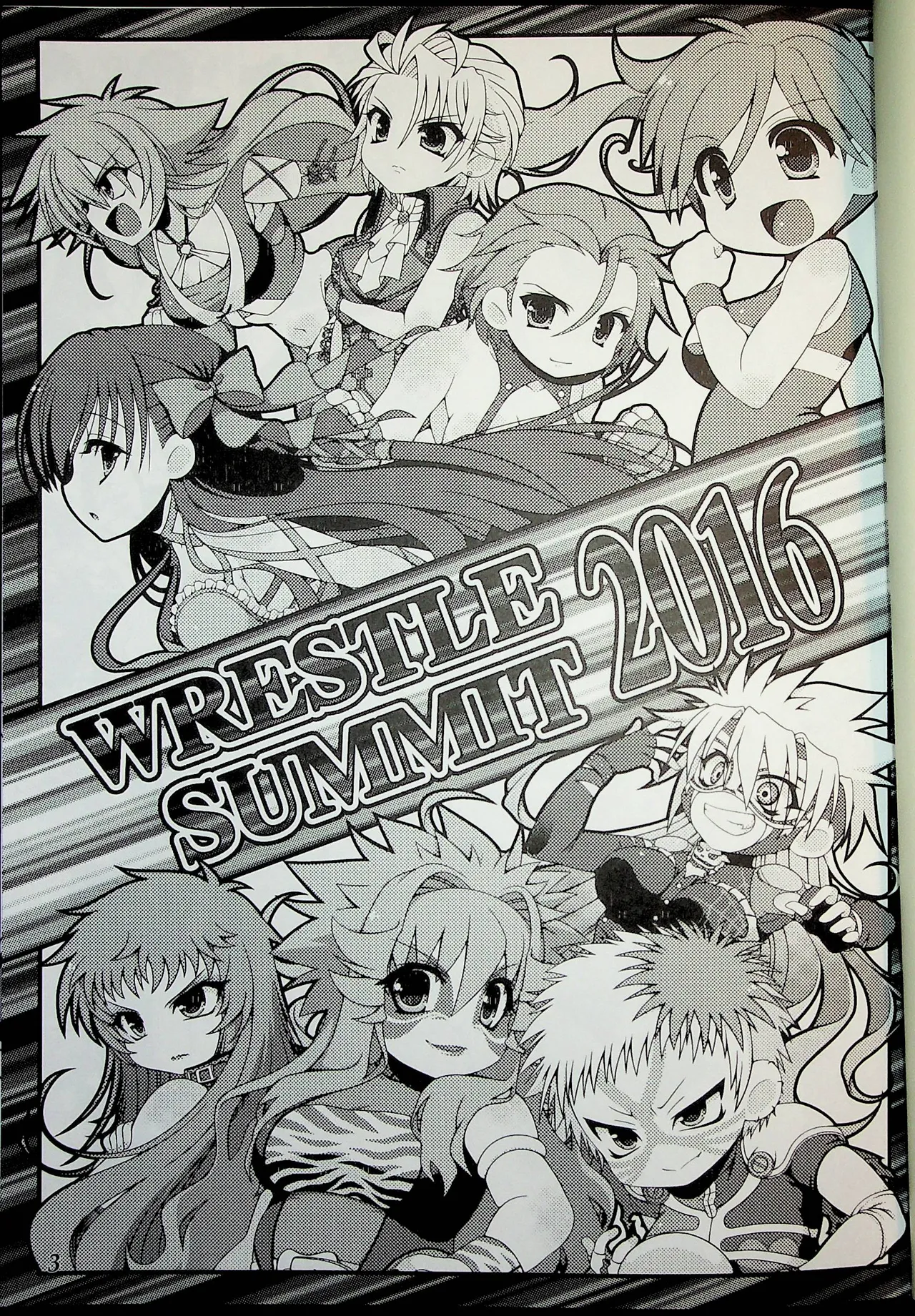 Wrestle Summit 2016 page 2 full