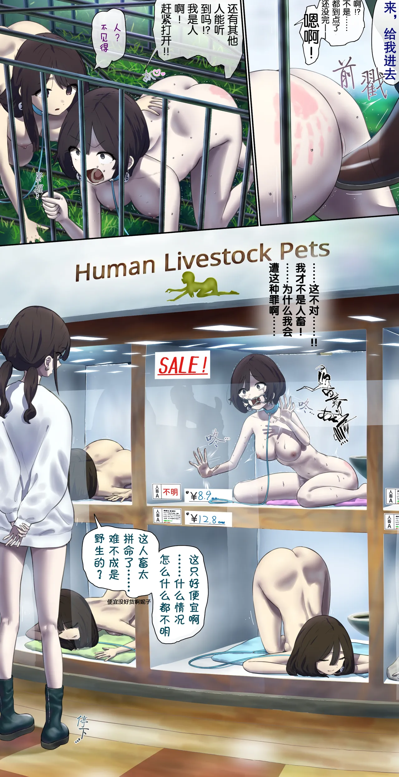 Volunteer for pet human livestock sales promotion event page 4 full
