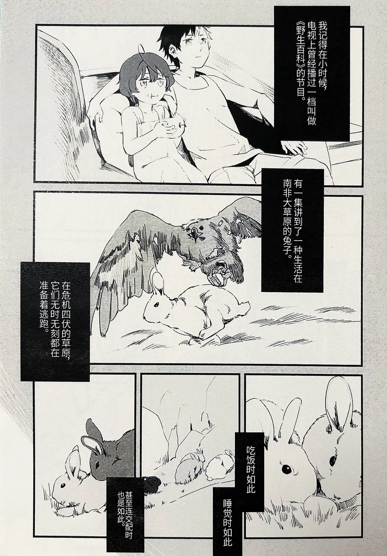 【中V/南北组】兔子（乐正绫x洛天依） page 2 full