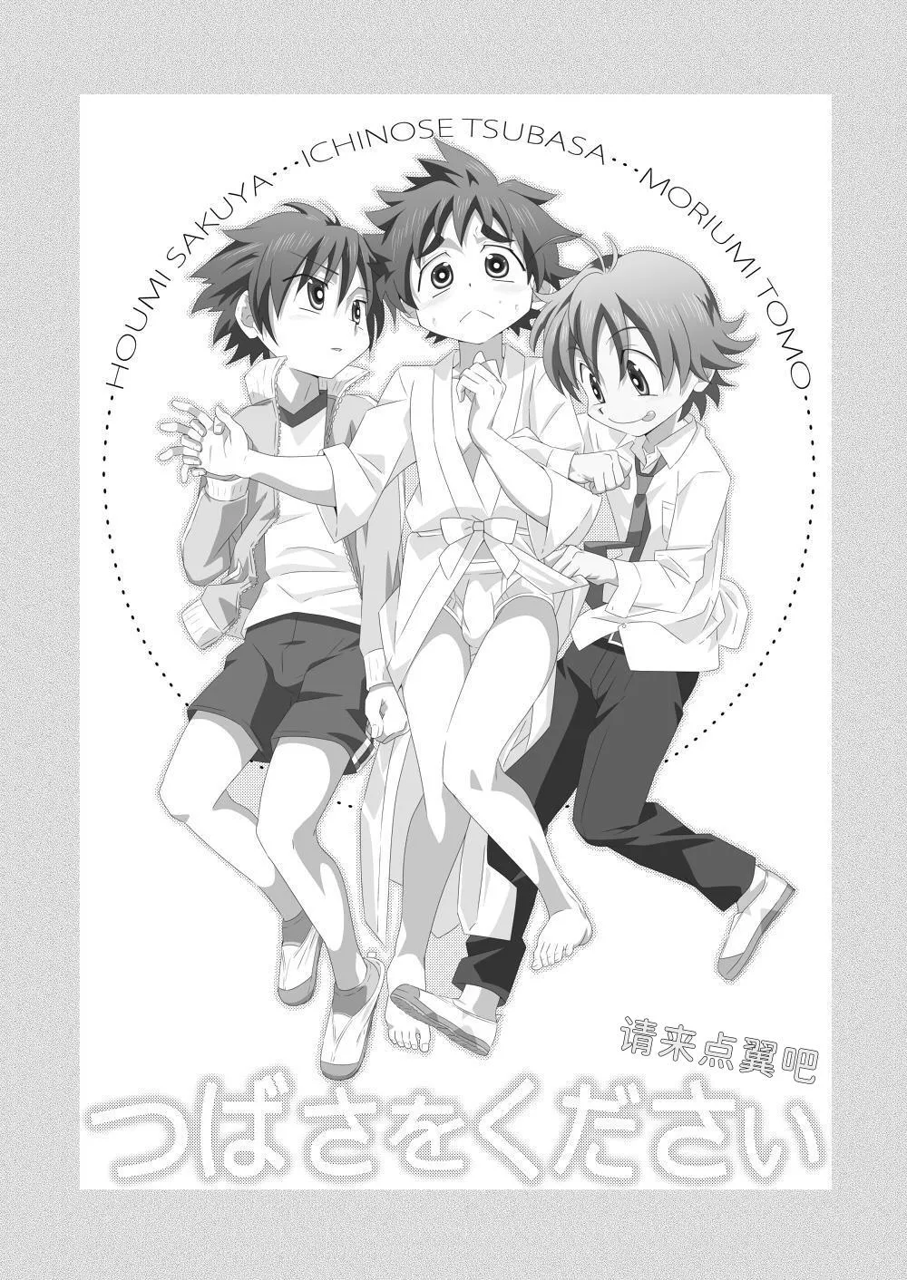 Tsubasa o Kudasai | 请来点翼吧 page 2 full