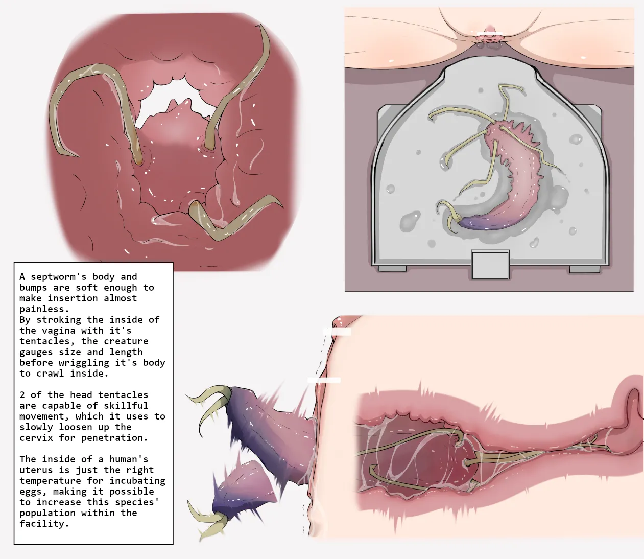 Insect Research Report No.01 page 3 full