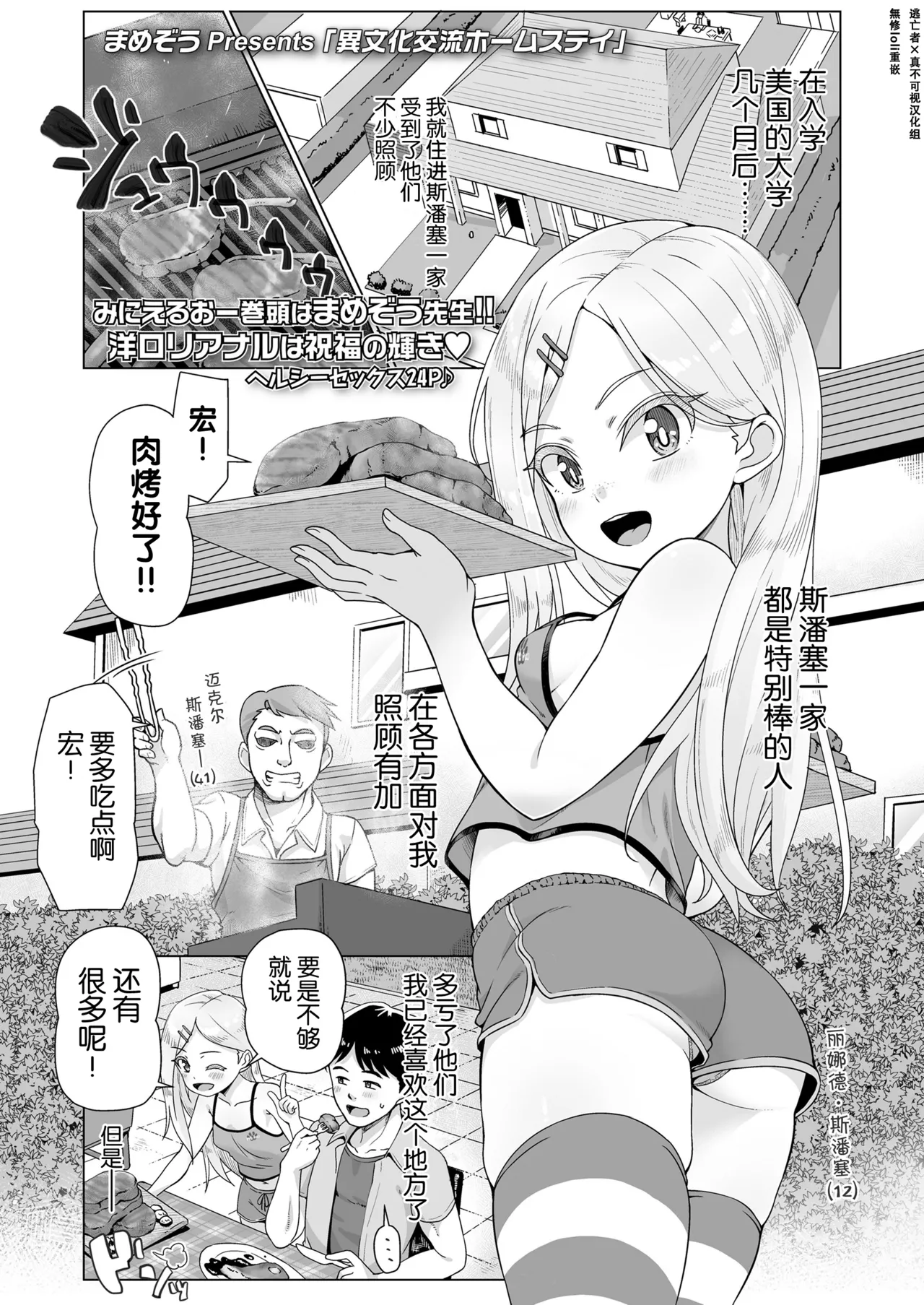 Ibunka Kouryuu Homestay page 2 full