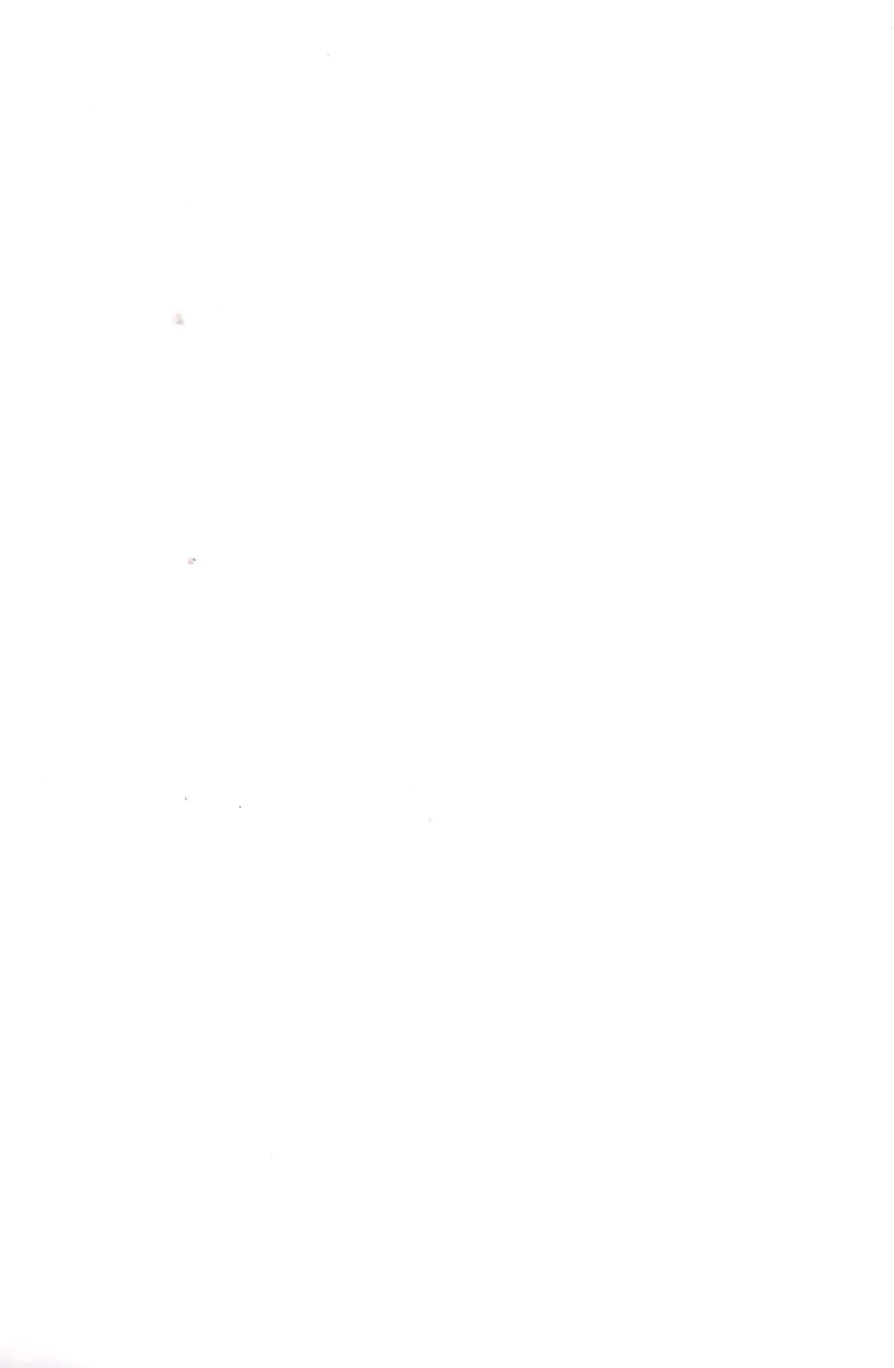 Biyaku tōtatsu meromero nurunuru chin po ko bōru page 2 full