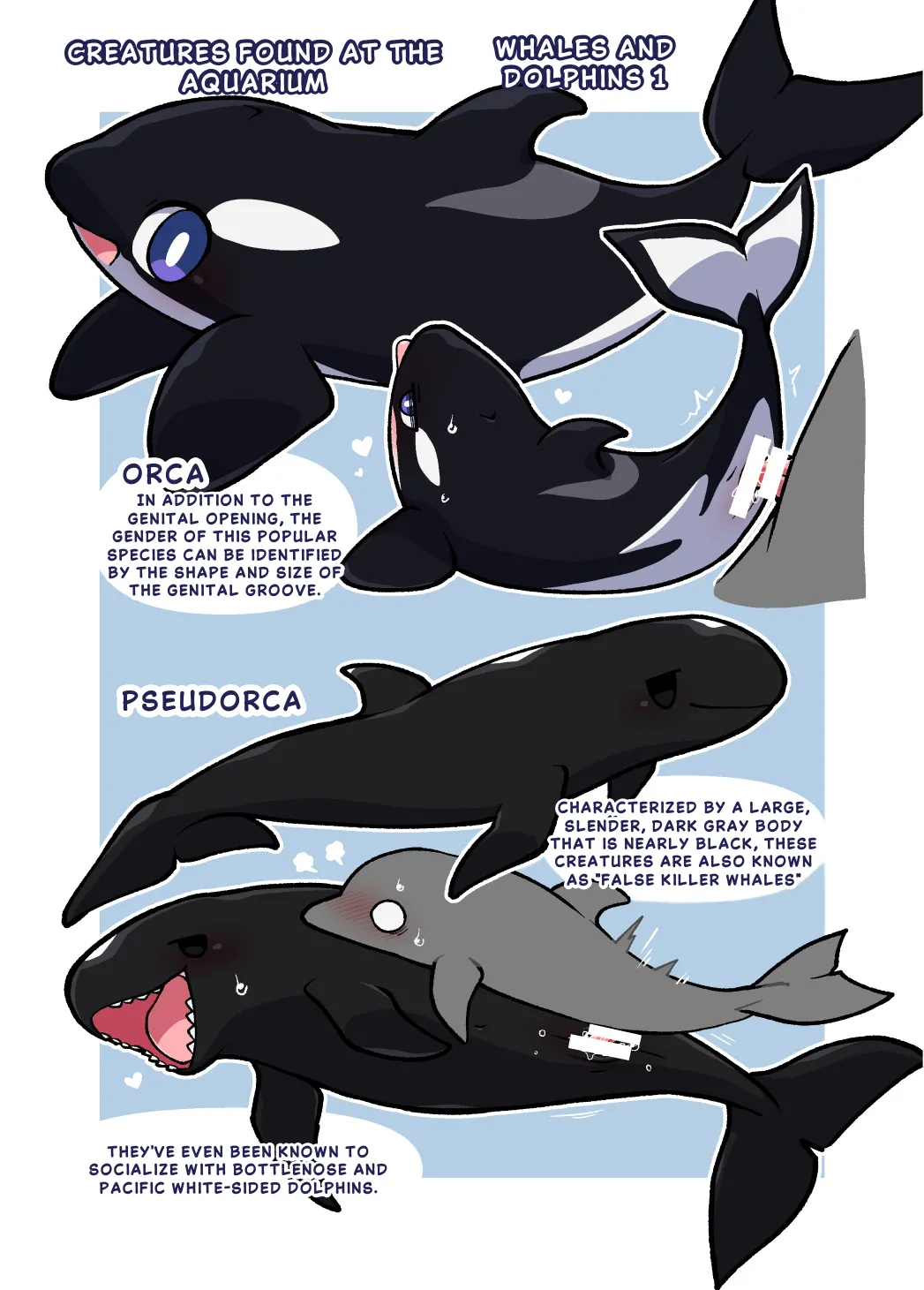 Dokidoki Suizokukan page 10 full