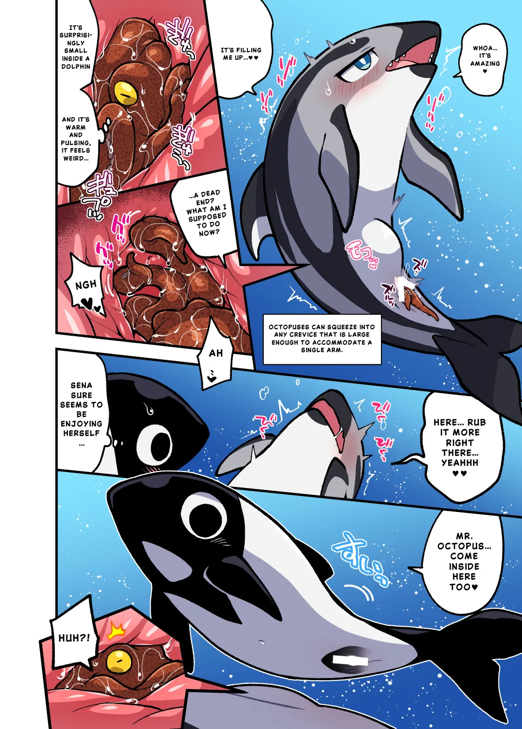 Dokidoki Suizokukan page 5 full